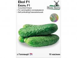 ����� ����� F1 (10 ������)/(5 ����� � ��������) ��Beste Kern