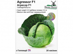 ������� ������� F1 (20 ������)/(5 ����� � ��������) ��Beste Kern