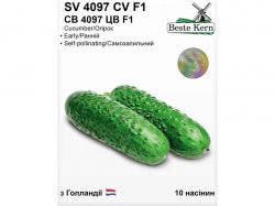 ����� �� 4097 �� F1 (10 ������)/(5 ����� � ��������) ��Beste Kern