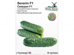 Огірок Северин F1 (10 насінин)/(5 пачок в упаковці) ТМBeste Kern