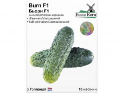 ����� ����� F1 (10 ������)/(5 ����� � ��������) ��Beste Kern
