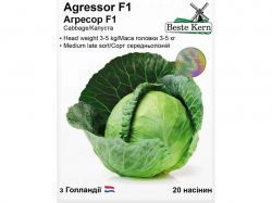 ������� ������� F1 (50 ������)/(5 ����� � ��������) ��Beste Kern