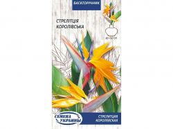 ��������� ���������� (10 �����) 0,5� �������� �������