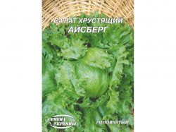 ó���� ����� �������� ������� (10 �����) 10� �������� �������