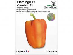 ������ ������� F1 (10 ������)/(5 ����� � ��������) ��Beste Kern