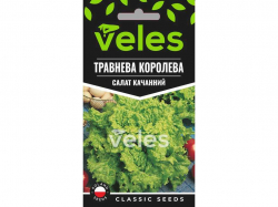 ����� �������� �������� ���Ѳ (10 �����) 5� �������