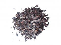 ���� ������� ����������� 50� ����� ��������