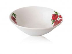 �������� 7 050-30-05 ��� ������� ������ 12�� ��SNT