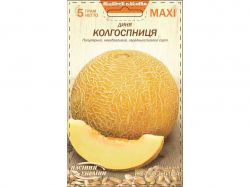 ���� ���� ����������� 5� (10 �����) ����Ѳ��� �������