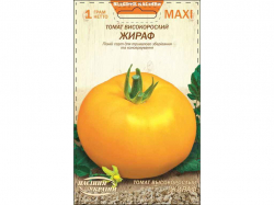 ���� ����� ������������ ����� 1� (10 �����) ����Ѳ��� �������