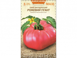 ���� ����� ������������ ������� ò���� 1� (10 �����) ����Ѳ��� �������