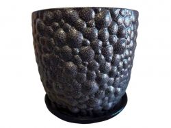 ���� ��������� ������ 10� ����������