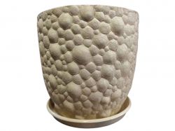 ���� ��������� ���� 10� ����������