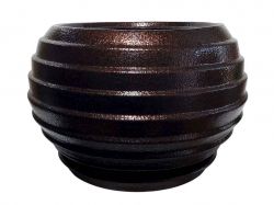 ���� ������ ������ 10� ����������