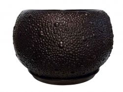 ���� ������ ������ 10� ����������