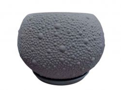 ���� ������ ���� 10� ����������