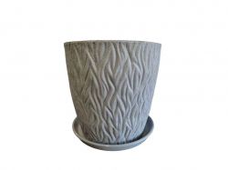 ���� ������ ���� 10� ����������