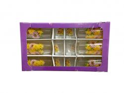 ���� 12�� (6 ����. 6 ������) ����� ������� ��FARGLASS