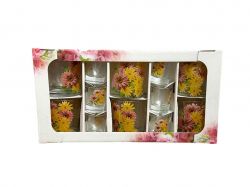 ���� 12�� (6 ����. 6 ������) ����� ������� ��FARGLASS