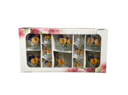 ���� 12�� (6 ����. 6 ������) ����� ̳�� (������ � ����) ��FARGLASS