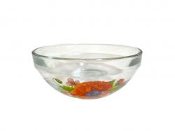 ���� ��������� 6�� ̳�� (������ � ����) ��FARGLASS