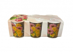 ���� �������� 250�� 6�� ����� ���� ��FARGLASS