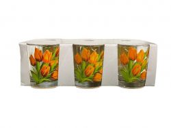 ���� �������� 250�� 6�� ����� ������� ��FARGLASS