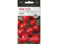 ����� ���� F1 0,1� (20 �����) �������