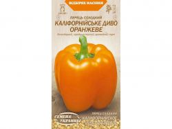 ������ �������� ��˲���Ͳ����� ���� �������� �� 0,25� (20 �����) (��) ����Ѳ��� �������