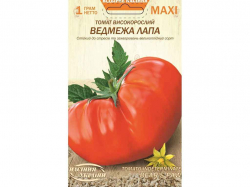 ���� ����� ������������ ������� ���� 1� (10 �����) ����Ѳ��� �������