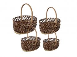 ���� �������� ���������� ������ �������� ������ ���������