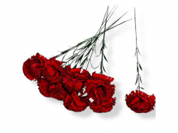 ó��� �������� h-60�� 1 ���. ���������� (10��/��) ���.7307 �������