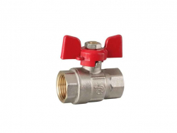 ���� �������� 3/4 �� ������� ��Reiger