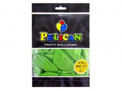  19 (48 )    (25/) #016 PELICAN