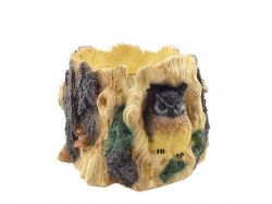 ����� ���� � ������ ���. (���) 2,5� ����������