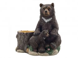 ����� ��������� (���) 2,5� ����������