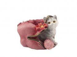 ����� ����� � ������� (���) 2� ����������