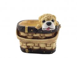 ����� ����� � ��������� (���) 2,5� ����������