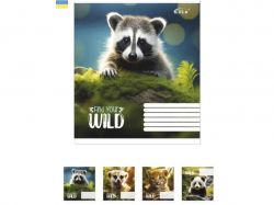    18. 25/ -48 i i GOLD BRISK