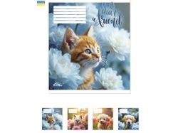    18. 25/ -48  i GOLD BRISK