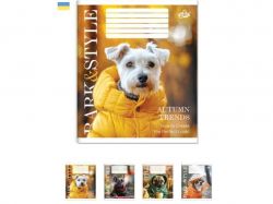 ����� � ������� 36���. 20��/�� ��-7 ����i ������ ��BRISK