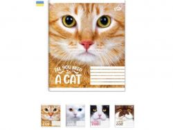 ����� � ������� 36���. 20��/�� ��-7 ������ ���� ��BRISK