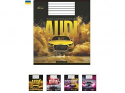 ����� � ������� 48���. 15��/�� ��-43 �����i��� i������i� ��GOLD BRISK