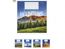 ����� � ������� 48���. 15��/�� ��-43 ������ ��� ���� ��GOLD BRISK