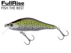 ������ Khomsin 70�� suspending ���.23 ��FISHING ROI