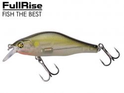 ������ Khomsin 70�� suspending ���.25 ��FISHING ROI