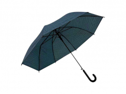 �������� ����� �������� ���� �.5503 ��SP