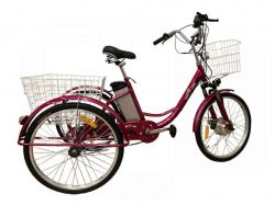  24 500W   PAS  KELB.BIKE