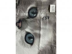  180*215  .139 CONSTANCY