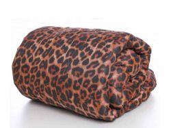   175*205 .0092 Constancy